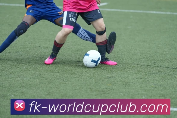 App Interface Preview